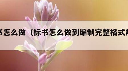 标书怎么做（标书怎么做到编制完整格式规范）