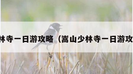 少林寺一日游攻略（嵩山少林寺一日游攻略）