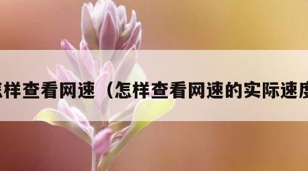 怎样查看网速（怎样查看网速的实际速度）
