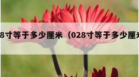 28寸等于多少厘米（028寸等于多少厘米）