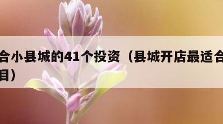 适合小县城的41个投资（县城开店最适合的项目）