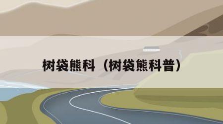 树袋熊科（树袋熊科普）