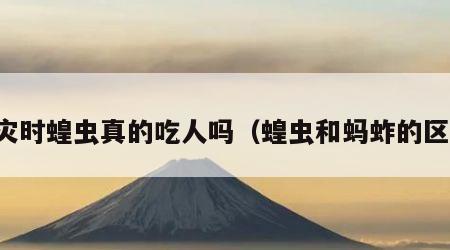 蝗灾时蝗虫真的吃人吗（蝗虫和蚂蚱的区别）