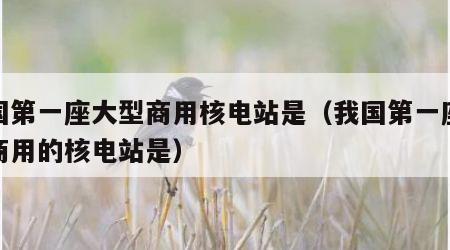 我国第一座大型商用核电站是（我国第一座大型商用的核电站是）