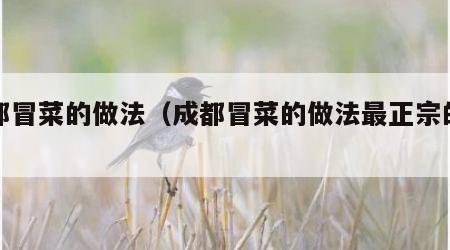 成都冒菜的做法（成都冒菜的做法最正宗的做法）