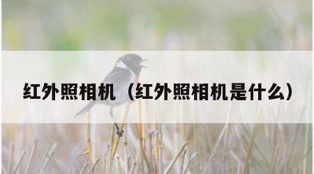 红外照相机（红外照相机是什么）