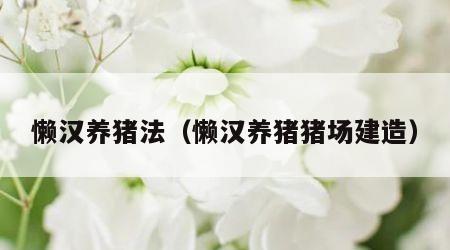 懒汉养猪法（懒汉养猪猪场建造）