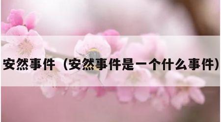 安然事件（安然事件是一个什么事件）
