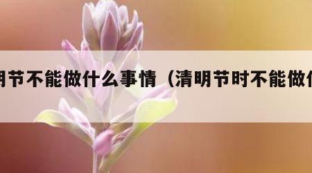 清明节不能做什么事情（清明节时不能做什么）