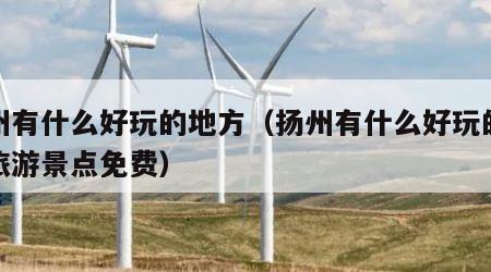 扬州有什么好玩的地方（扬州有什么好玩的地方旅游景点免费）