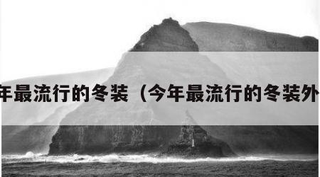 今年最流行的冬装（今年最流行的冬装外套）
