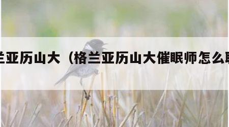 格兰亚历山大（格兰亚历山大催眠师怎么联系）