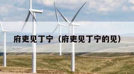 府吏见丁宁（府吏见丁宁的见）
