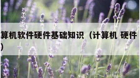 计算机软件硬件基础知识（计算机 硬件 软件）