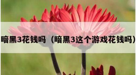 暗黑3花钱吗（暗黑3这个游戏花钱吗）
