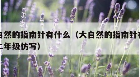 大自然的指南针有什么（大自然的指南针有什么二年级仿写）