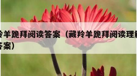 藏羚羊跪拜阅读答案（藏羚羊跪拜阅读理解题及答案）