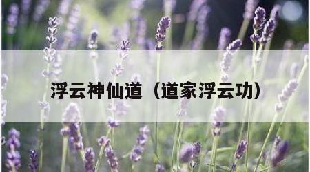 浮云神仙道（道家浮云功）