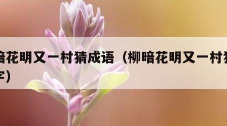 柳暗花明又一村猜成语（柳暗花明又一村猜一个字）