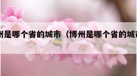 博州是哪个省的城市（博州是哪个省的城市名称）