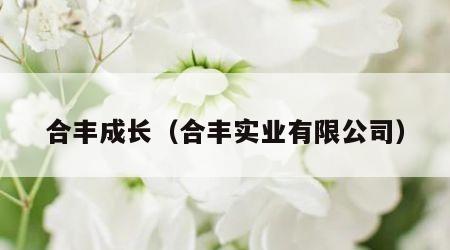 合丰成长（合丰实业有限公司）