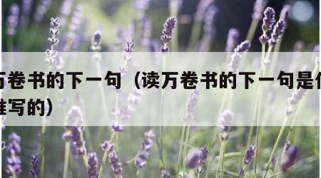 读万卷书的下一句（读万卷书的下一句是什么是谁写的）