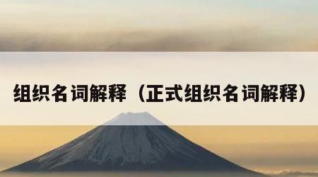 组织名词解释（正式组织名词解释）