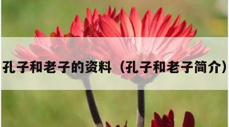 孔子和老子的资料（孔子和老子简介）