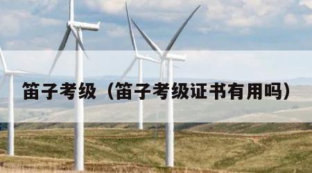 笛子考级（笛子考级证书有用吗）