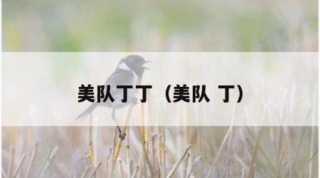 美队丁丁（美队 丁）