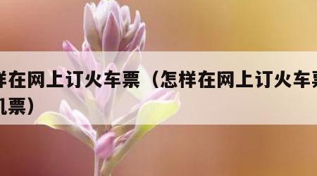 怎样在网上订火车票（怎样在网上订火车票和飞机票）