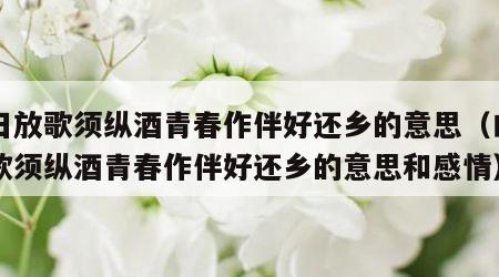 白日放歌须纵酒青春作伴好还乡的意思（白日放歌须纵酒青春作伴好还乡的意思和感情）
