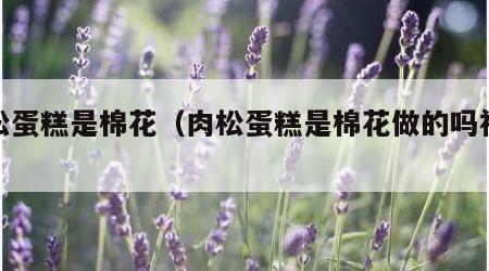 肉松蛋糕是棉花（肉松蛋糕是棉花做的吗视频）
