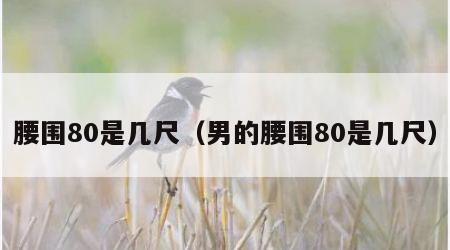腰围80是几尺（男的腰围80是几尺）
