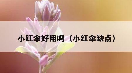 小红伞好用吗（小红伞缺点）