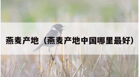 燕麦产地（燕麦产地中国哪里最好）