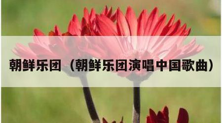 朝鲜乐团（朝鲜乐团演唱中国歌曲）
