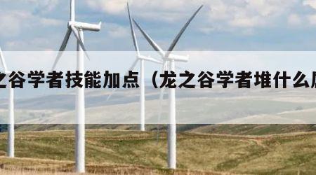 龙之谷学者技能加点（龙之谷学者堆什么属性）