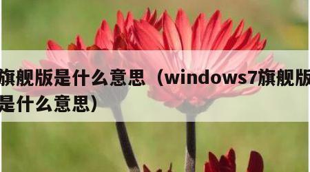 旗舰版是什么意思（windows7旗舰版是什么意思）