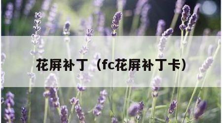 花屏补丁（fc花屏补丁卡）