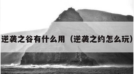 逆袭之谷有什么用（逆袭之约怎么玩）