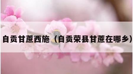 自贡甘蔗西施（自贡荣县甘蔗在哪乡）
