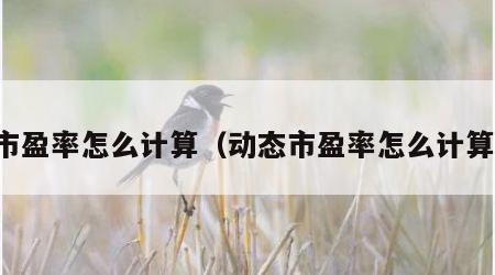 市盈率怎么计算（动态市盈率怎么计算）