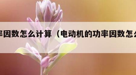 功率因数怎么计算（电动机的功率因数怎么计算）