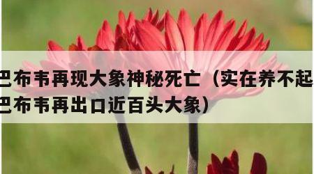 津巴布韦再现大象神秘死亡（实在养不起了,津巴布韦再出口近百头大象）
