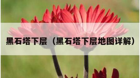 黑石塔下层（黑石塔下层地图详解）