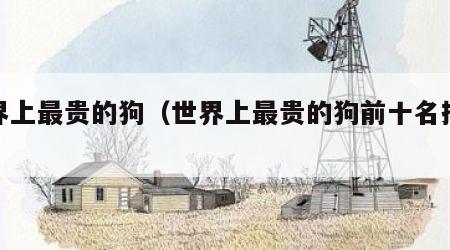 世界上最贵的狗（世界上最贵的狗前十名排行榜）