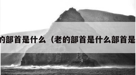 老的部首是什么（老的部首是什么部首是什）