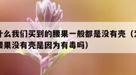 为什么我们买到的腰果一般都是没有壳（为什么腰果没有壳是因为有毒吗）