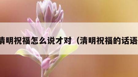清明祝福怎么说才对（清明祝福的话语）